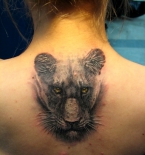 pantera