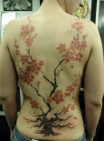 sakura-na-spine