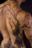sakura_0