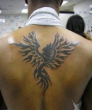 tatu-feniks