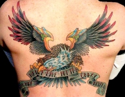 tatu-orel