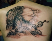 tigr-tatu