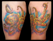 tatu-osminog_0