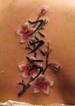 sakura-na-lopatke
