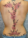 tatu-sakura-na-spine
