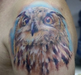 plecho-tatu-sova