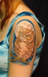 plecho-tatu