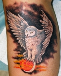 tatu-na-goleni
