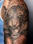 1306475995_tatuirovka-na-ruku-tigr