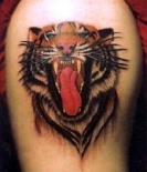 76165366_large_tigertattoo_141