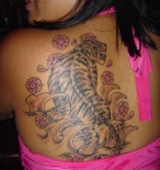 tiger-tattoo-121061616020330