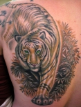 tiger-tattoo-1_2
