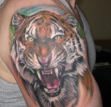 tiger-tattoo-6336686942293912506