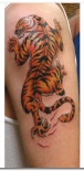 tiger-tattoo-designs-8