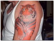 tiger-tattoo-designs-pictures-4