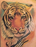 Tiger Tattoo Designs