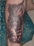 tiger-tattoo