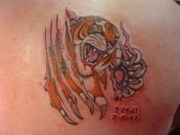 tiger-tattoo1