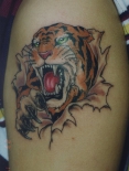 tiger-tattoos-215208_0115