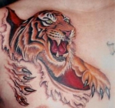tigeronfire