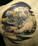 tigers-800