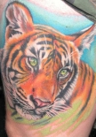 tigertat08
