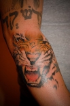 tigertat104