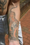 tigertat108