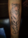 tigertat23