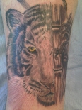 tigertat46