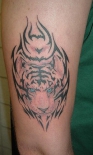 tigertat73