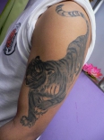 tigertat99