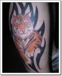 tigertattoo02