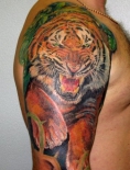 tigr-na-pleche-tatu