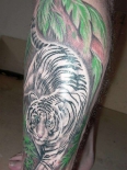 white-tiger-tattoo-102520