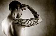 traybl_0