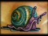 80percent-gulf-coast-charity-snail-kelly-doty-081210