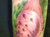 snail-tattoo