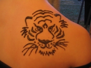 bio_taty