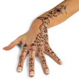 f9628cf3ca225590_henna_tattoo_right_500_94419
