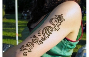 photos0-800x600