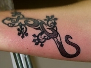 lizard0078335