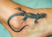 tatu-yashheritsyi_0
