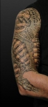 biomehanika-ruki-tatu-tattoo-tatoo_large