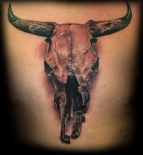 bull75