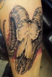 goat_skull_tattoo