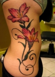 lilii