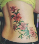 tatu-lilii