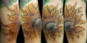 tatu-podsolnuh