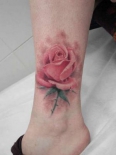 tatu-roza_0